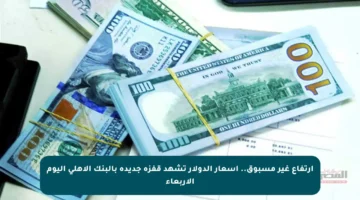 ارتفاع غير مسبوق.. أسعار الدولار تشهد قفزة جديدة بالبنك الأهلي اليوم الأربعاء